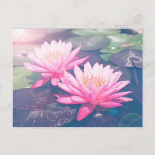 PINK LOTUS-BRIEFKAART BRIEFKAART