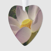 Pink Lotus Flower III Summer Floral (devant)