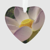 Pink Lotus Flower III Summer Floral (dos)