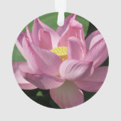 Pink Lotus Flower IV (dos)
