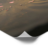 Pink Lotus in het Morning Light Poster (Hoek)