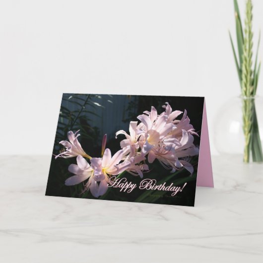 Pink Lys, Joyeux Anniversaire ! Carte de voeux Flo (Devant)