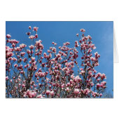 Pink Magnolia Flowers Blue Sky Note Card (Devant Horizontal)