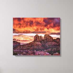 Pink Morning Glory Canvas Afdruk