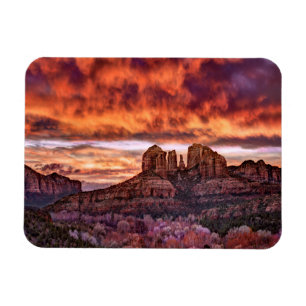 Pink Morning Glory Magneet