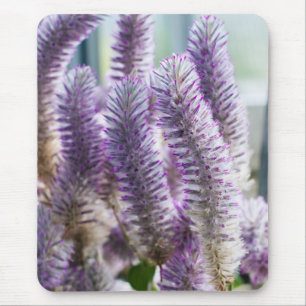 Pink Mulla Mulla Mousepad Muismat