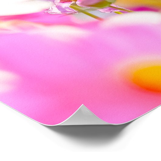 Pink Nectar Light Poster (Hoek)