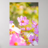 Pink Nectar Light Poster (Voorkant)