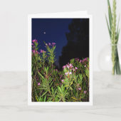 Pink Oleander à la carte de nuit (Devant)