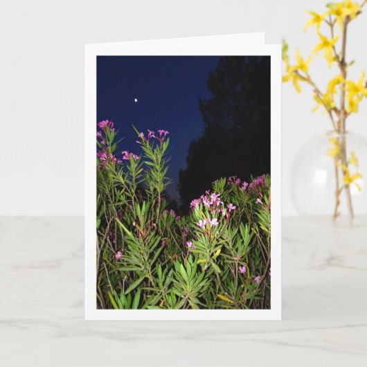Pink Oleander à la carte de nuit (Fleur jaune)