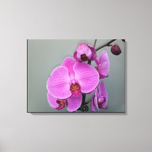 PINK ORCHID canvas (Voorkant)