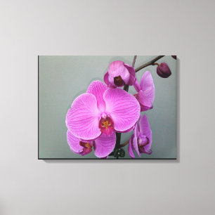 PINK ORCHID canvas Afdruk