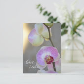 Pink Orchid Expression Love Heals Carte postale (Debout devant)
