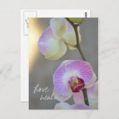 Pink Orchid Expression Love Heals Carte postale (Devant / Derrière)