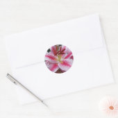 Pink Oriental Lily Floral Ronde Sticker (Envelop)
