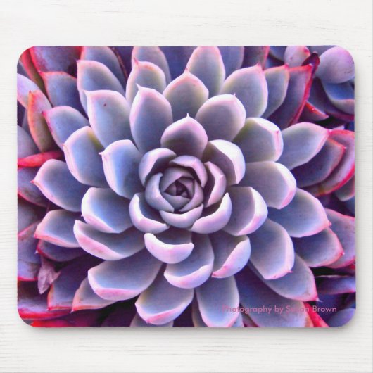PInk & Paars Succulent Mousepad Muismat (Voorkant)