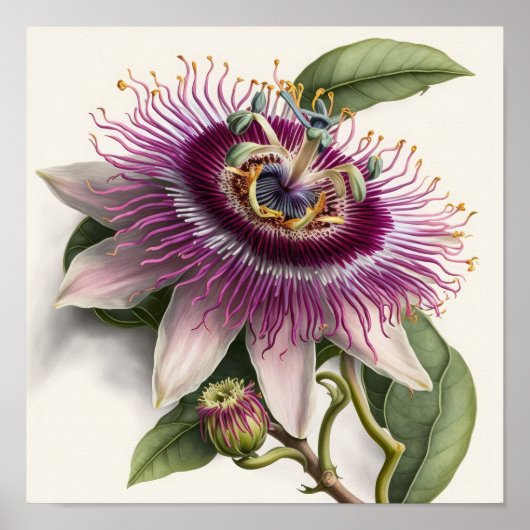 Pink Passion Flower Art Imprimer Poster (Devant)