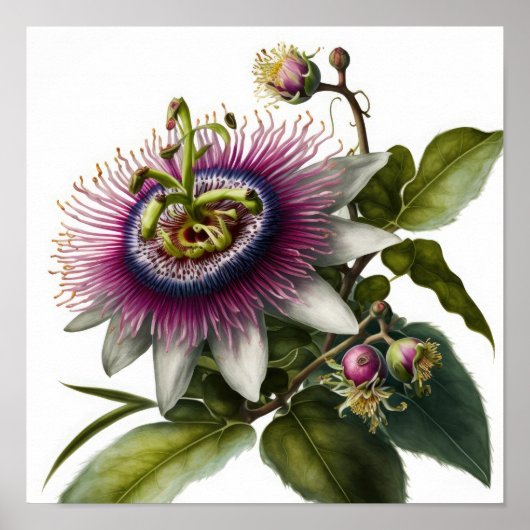 Pink Passion Flower Art Imprimer Poster (Devant)