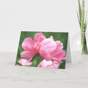 Pink Peonies Greeting Card Kaart