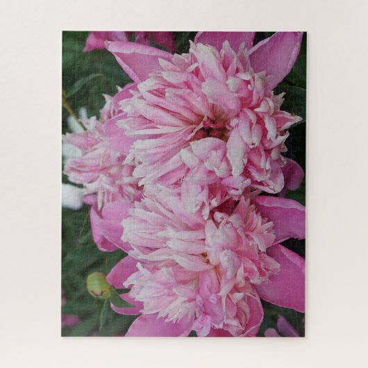 Pink Peonies Legpuzzel (Verticaal)