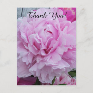 Pink Peonies Peony Dank je wel Briefkaart