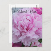 Pink Peonies Peony Merci carte postale (Devant / Derrière)