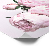 Pink Peony Art, Impression Rose, Poster rose Flowe (Coin)