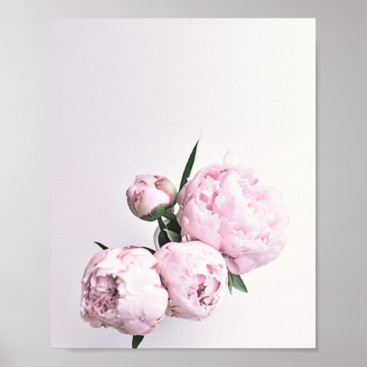 Pink Peony Art, Impression Rose, Poster rose Flowe (Devant)