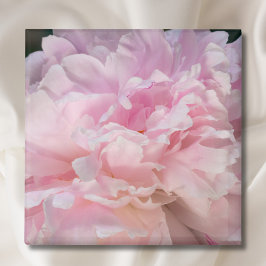 Pink Peony Blossom Magneet