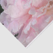 Pink Peony Blossom Tissuepapier (Detail)