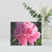 Pink Peony Briefkaart (Staand voorkant)