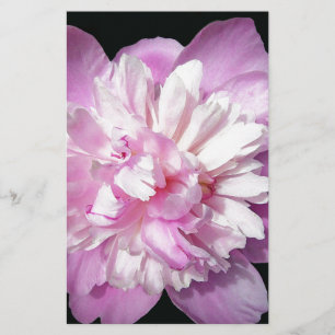 Pink Peony Briefpapier
