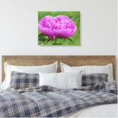 Pink Peony Canvas Afdruk (Insitu (Slaapkamer))