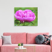 Pink Peony Canvas Afdruk (Insitu (Woonkamer))