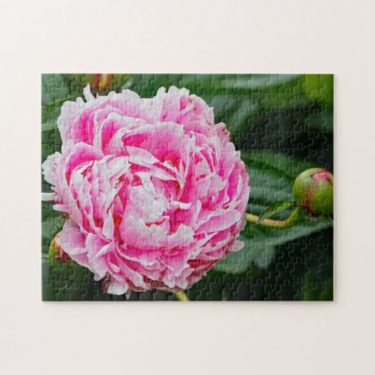 Pink Peony Floral Foto Legpuzzel (Horizontaal)