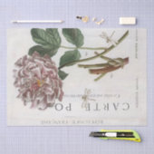 Pink Peony Flower Botanical French Dragonfly Craft Tissuepapier (Craft)