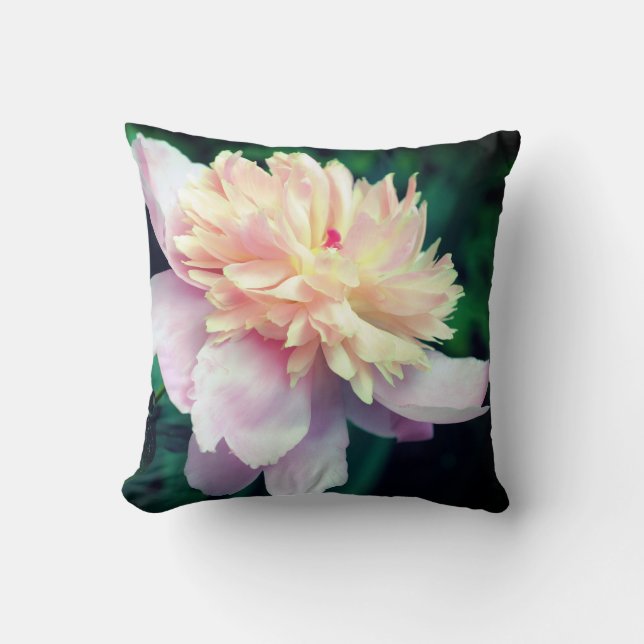 Pink Peony Flower In Bloom Close Up  Kussen (Voorkant)