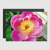 Pink Peony Flower Magnetic Kaart (Voorkant / Achterkant)
