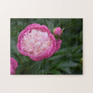 Pink Peony Flower Natuur Legpuzzel