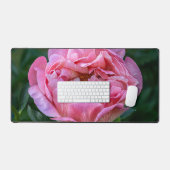 Pink Peony Flower, Photographie canadienne (Clavier et souris)