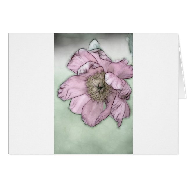 Pink Peony Flower Sketch (Voorkant Horizontaal)