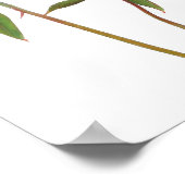 Pink Peony Flowers Art Imprimer Poster (Coin)