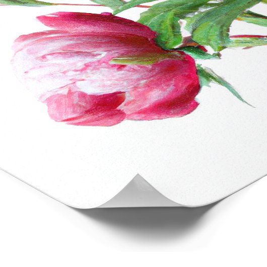 Pink Peony Flowers Art Imprimer Poster (Coin)