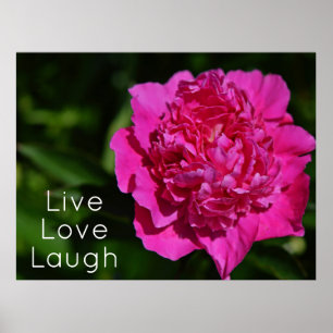 Pink Peony Garden Flower Motivatie Poster