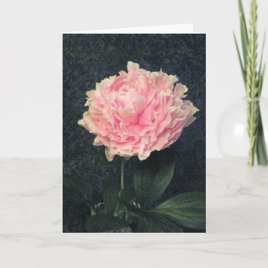 Pink Peony Kaart (Voorkant)
