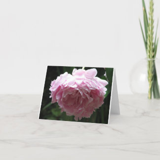 Pink Peony Note Cards Kaart
