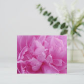 Pink Peony Petals carte postale (Debout devant)