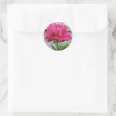 Pink Peony Ronde Sticker (Tas)