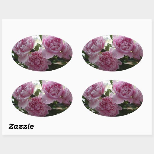 Pink Peony Stickers (Feuille)