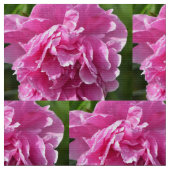 Pink Peony Stof (Close Up)